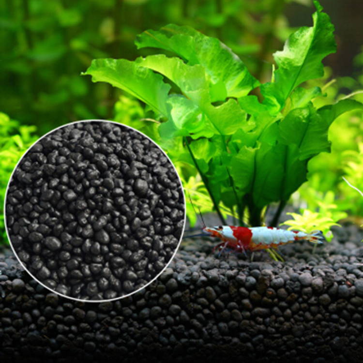 Aquarium Fertilizer - Bể Cá Cảnh Vật Có Hạt