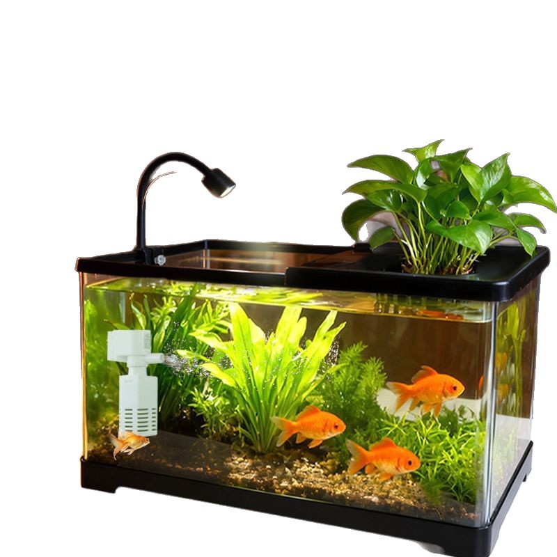 Live Plant Aquarium - Fish tank living room with aquarium