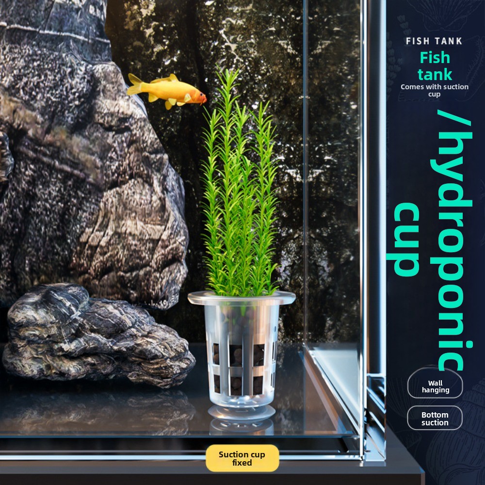 10Pcs Transparent Plant Hydrop - đánh giá và giá Aquarium Plant Holder