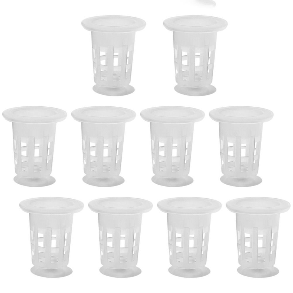 10Pcs Transparent Plant Hydrop - đánh giá và giá Aquarium Plant Holder