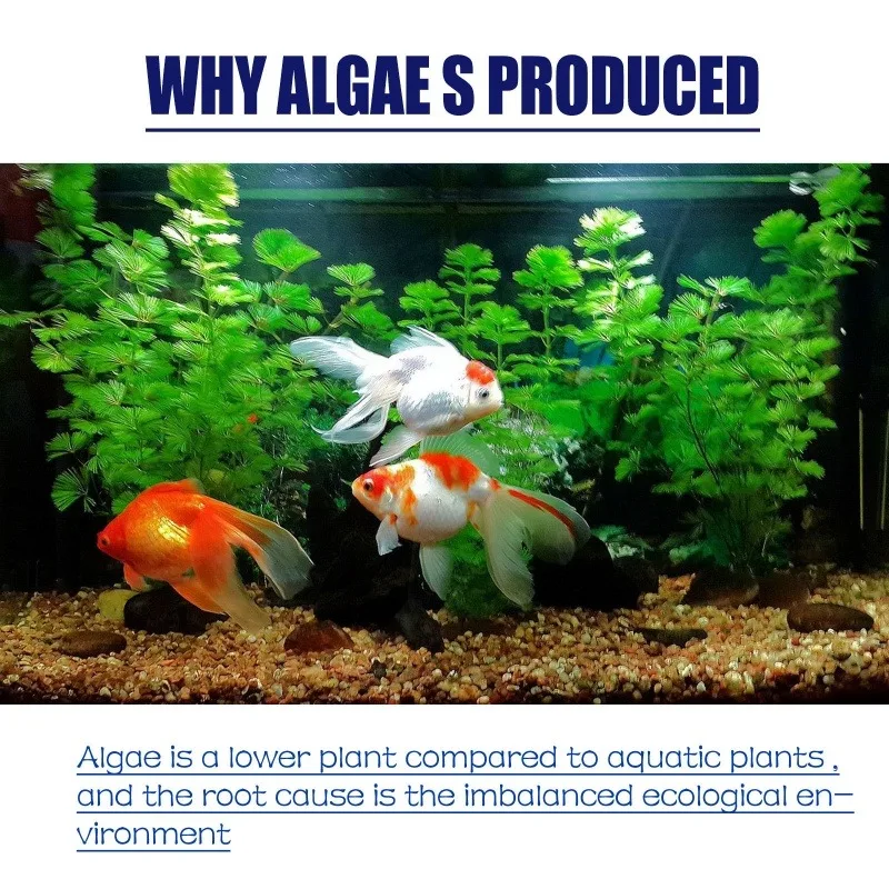 50g High Efficiency Algaecide  - đánh giá và giá Planted Aquarium Algae Control