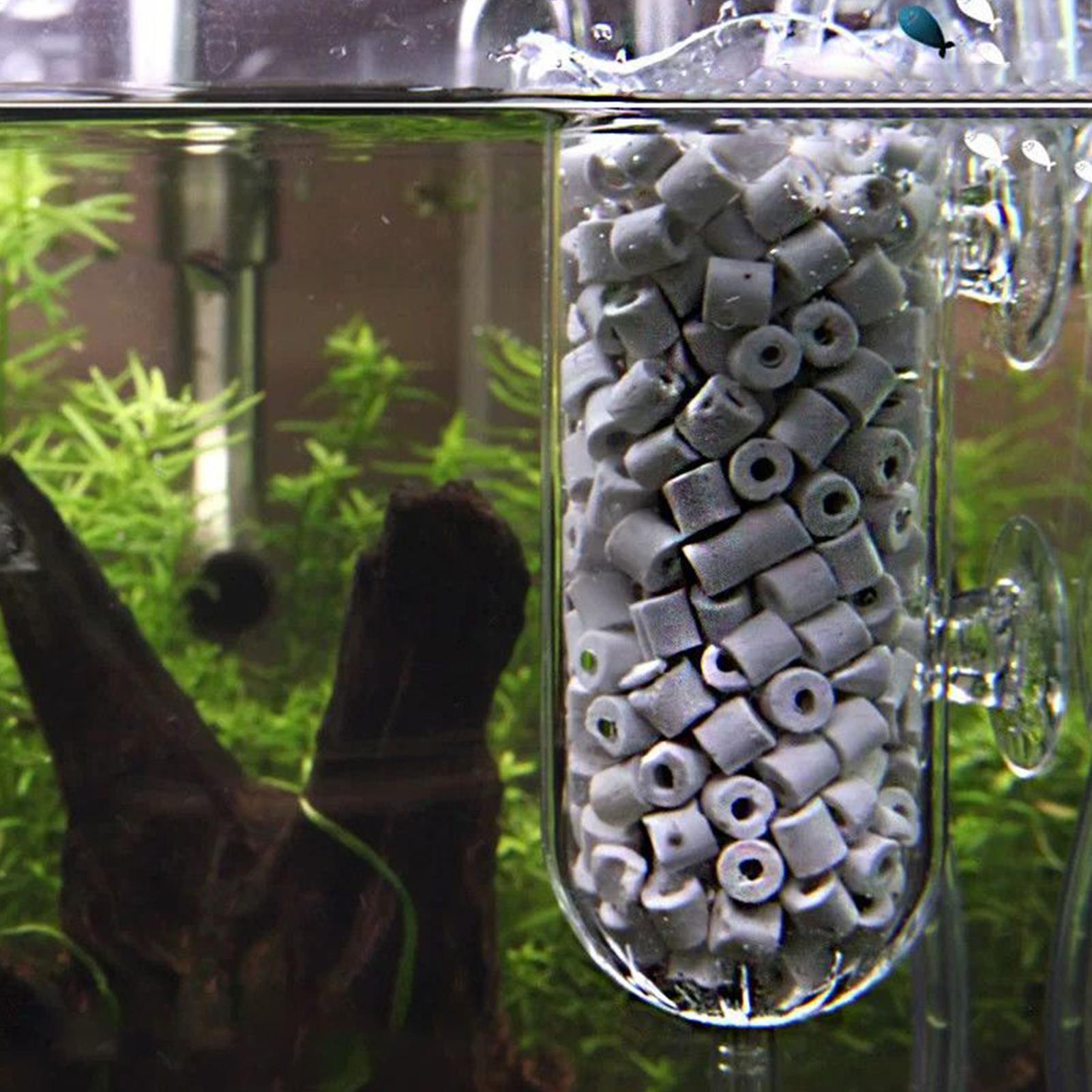 Fish Tank Oxygen Diffuser Spla - đánh giá và giá Aquarium Planted Tank Filter