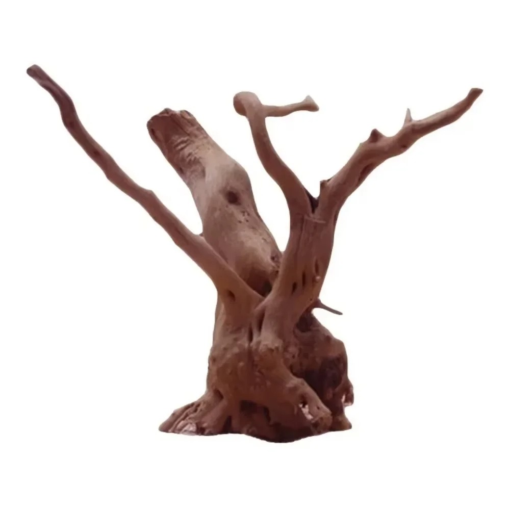 15-20CM Natural Driftwood Aqua - đánh giá và giá Aquarium Moss