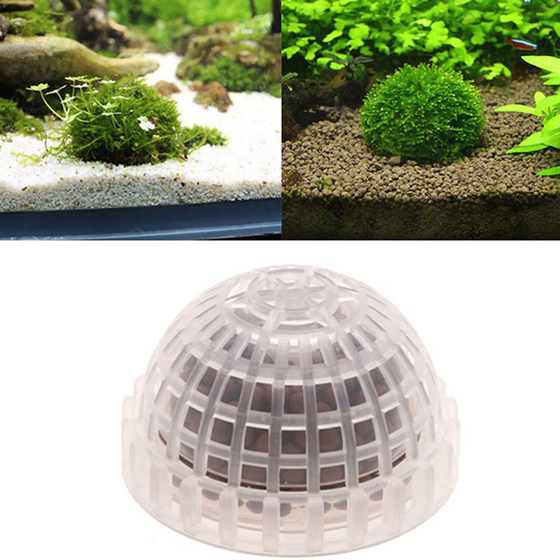 .1Pc Aquatic Pet Supplies Deco - đánh giá và giá Live Plant Aquarium