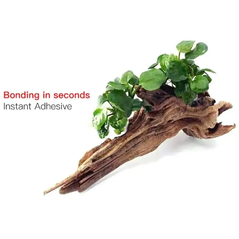 2PCS 5PCS /3/ Moss Clear Glues - đánh giá và giá Aquarium Moss