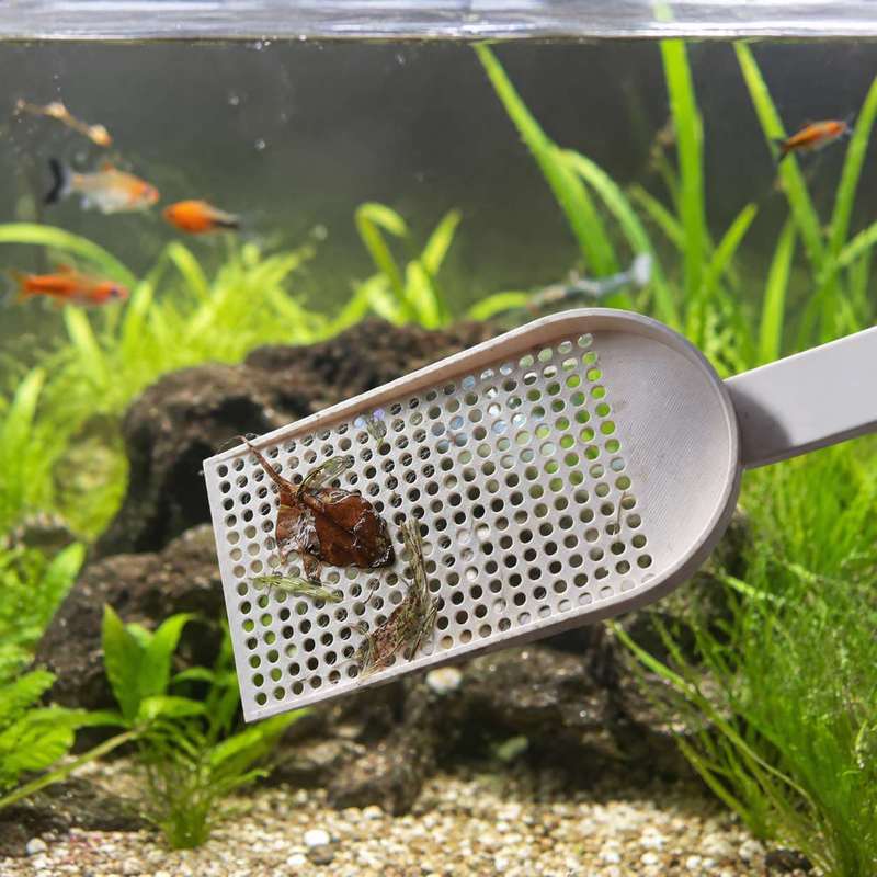Aquarium Fish Tank Debris Scoo - đánh giá và giá Planted Aquarium Cleaning