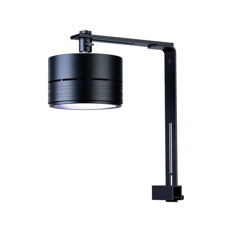 2026 Full Spectrum LED Aquariu - đánh giá và giá Aquarium Moss