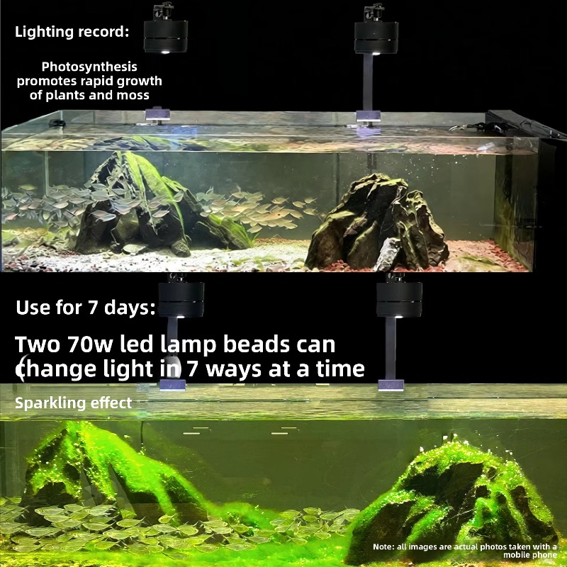 2026 Full Spectrum LED Aquariu - đánh giá và giá Aquarium Moss