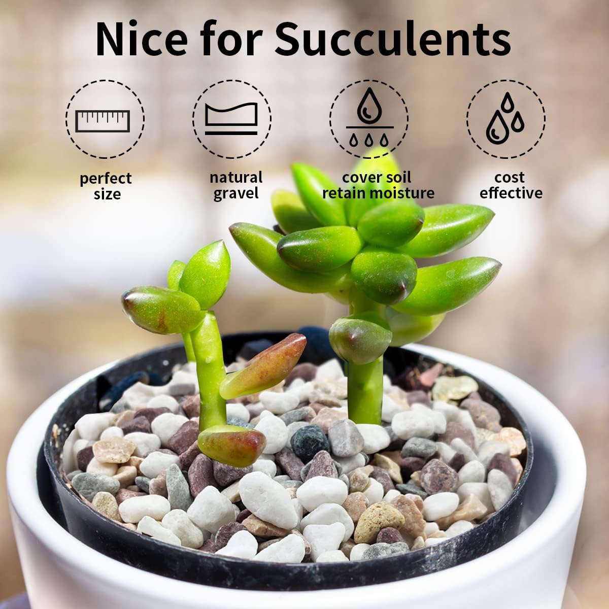Mixed Color Gravel Stones Deco - đánh giá và giá Plant Aquarium Pot
