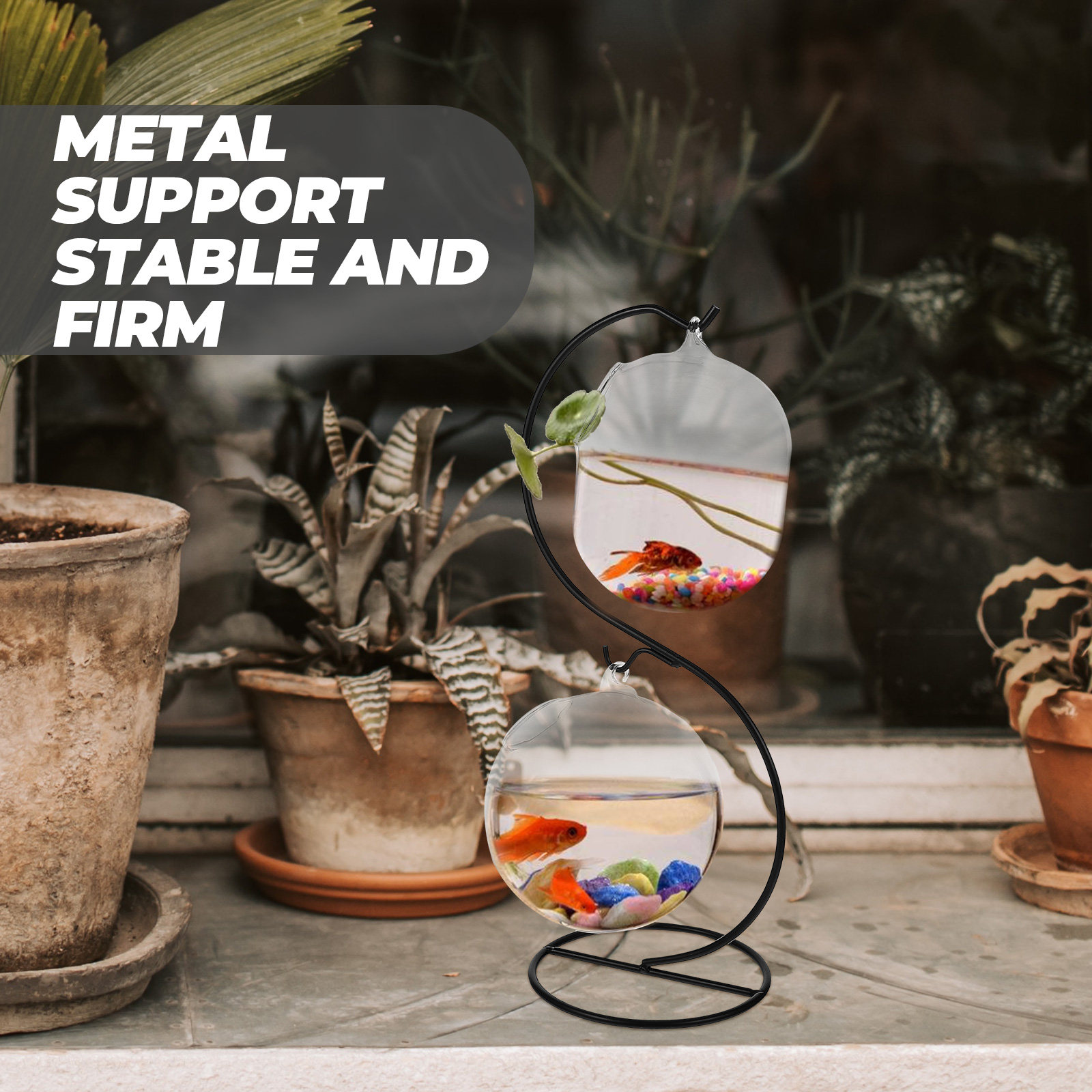 1Set Desktop Fish Tank Multi-F - đánh giá và giá Planted Tank