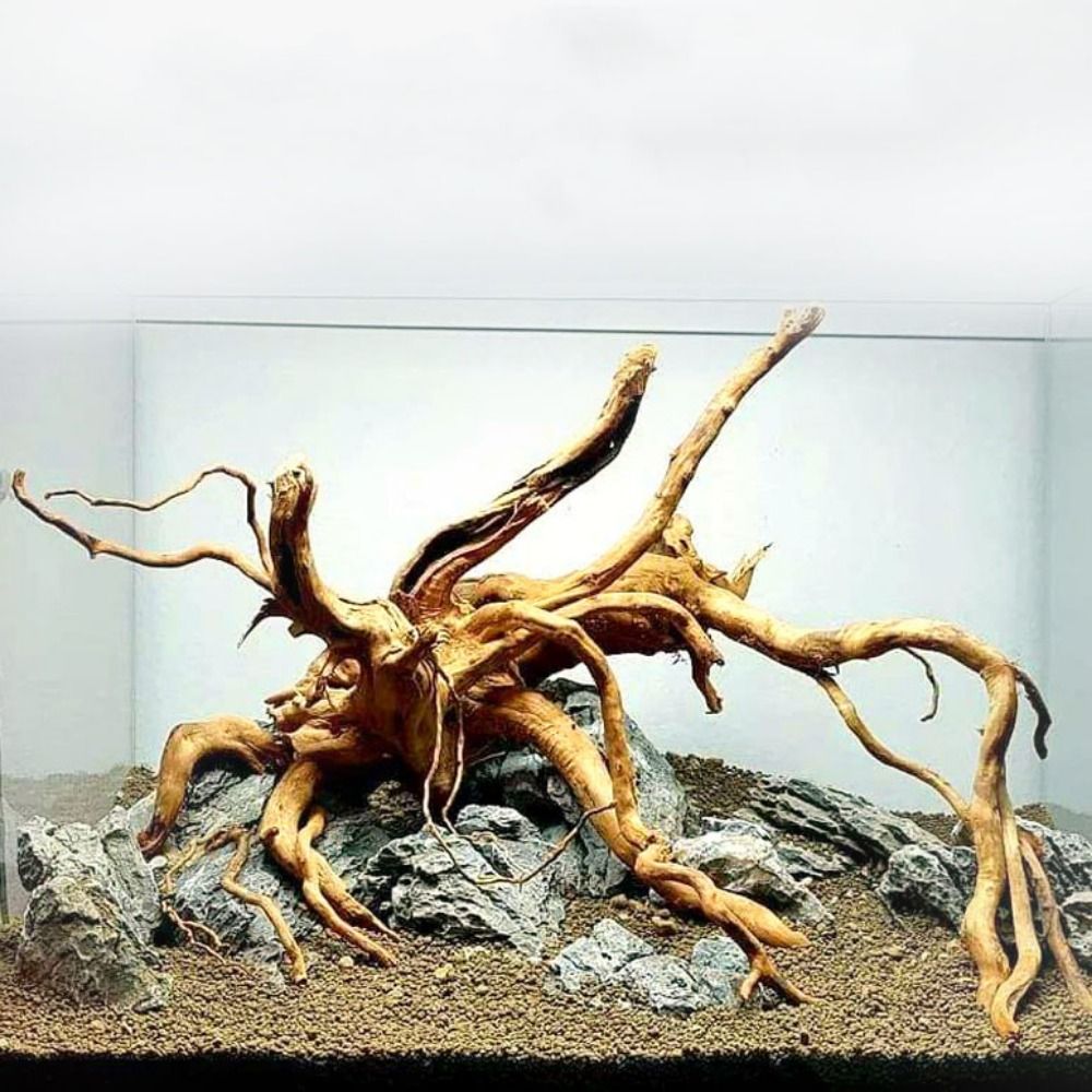 20-25CM Large Aquarium Driftwo - đánh giá và giá Aquarium Plant Substrate