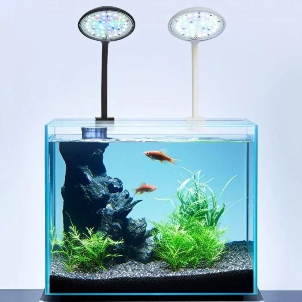 New Mini Fish Tank Clip Lamp 5 - đánh giá và giá Live Plant Aquarium