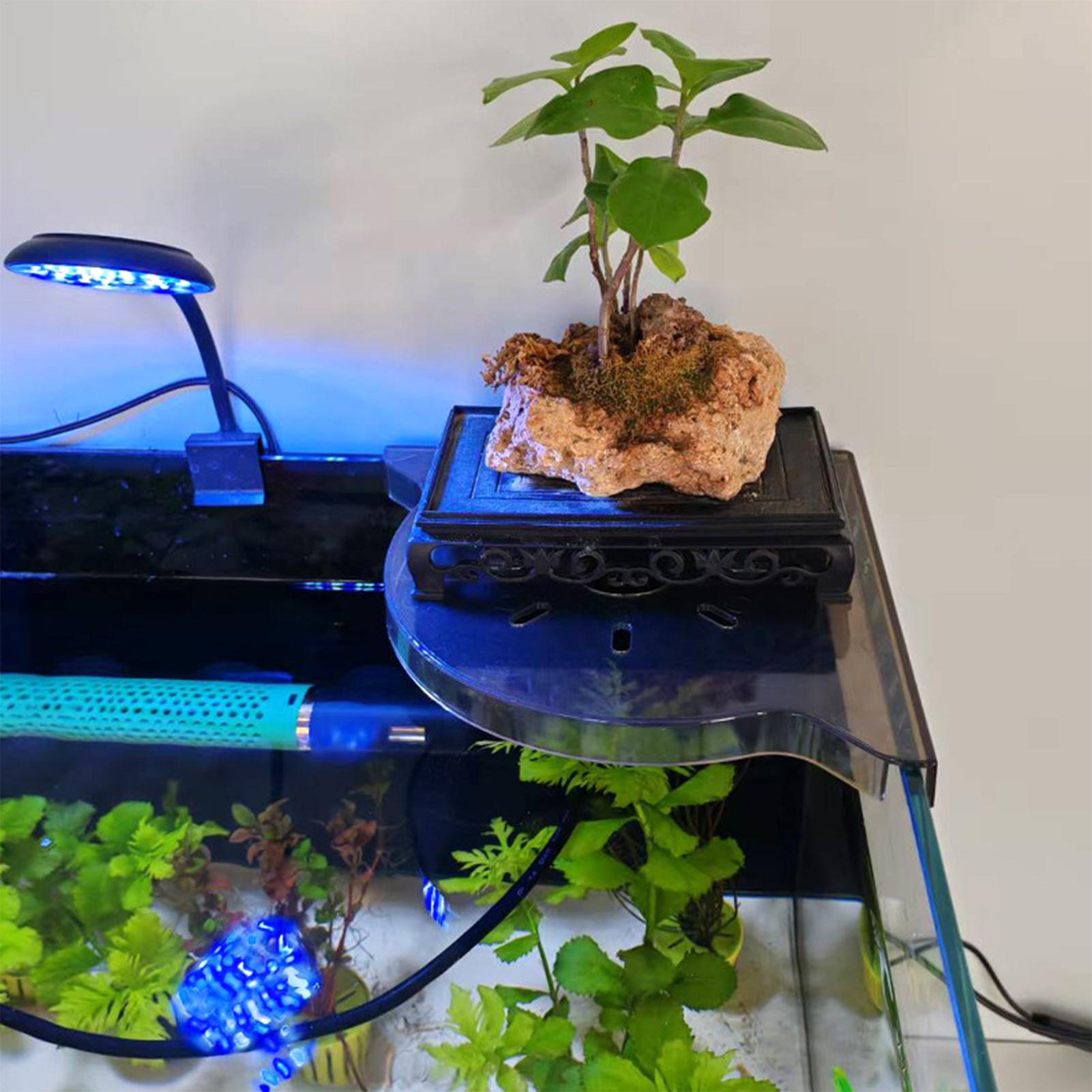 Triangle Fish Tank Corner Stor - đánh giá và giá Aquarium Plants Live