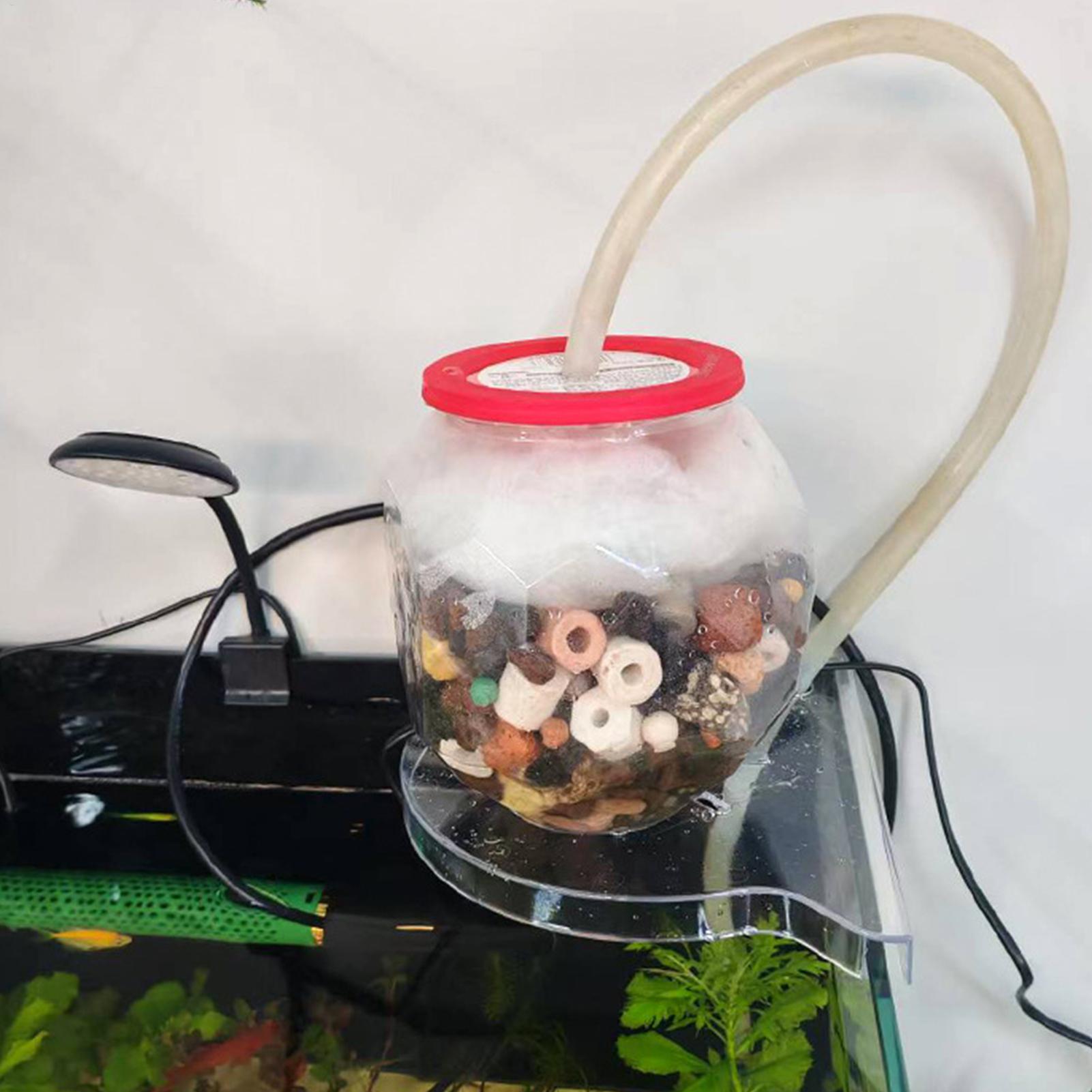 Triangle Fish Tank Corner Stor - đánh giá và giá Aquarium Plants Live