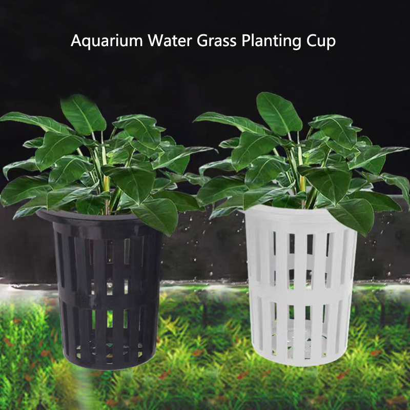 1/3Pcs Aquarium Plant Basket W - đánh giá và giá Aquarium Plants Live