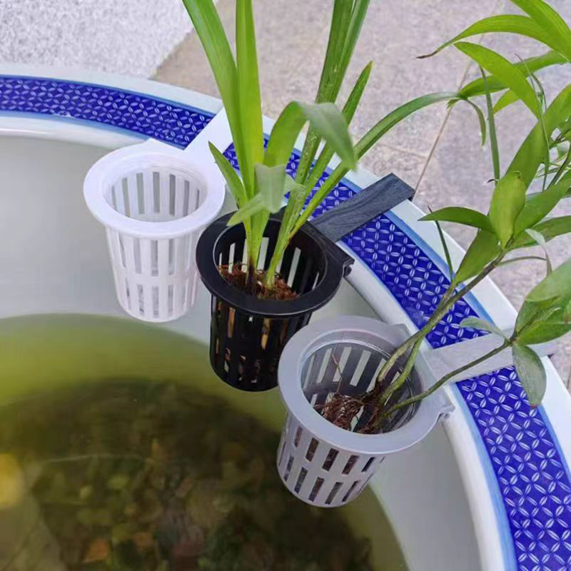 1/3Pcs Aquarium Plant Basket W - đánh giá và giá Aquarium Plants Live
