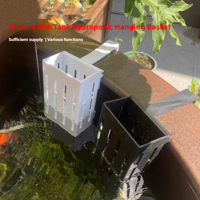 1/3Pcs Aquarium Plant Basket W - đánh giá và giá Aquarium Plants Live