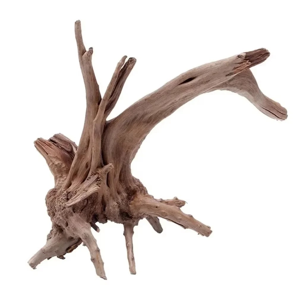 Natural Driftwood Aquarium Dec - đánh giá và giá Aquarium Moss