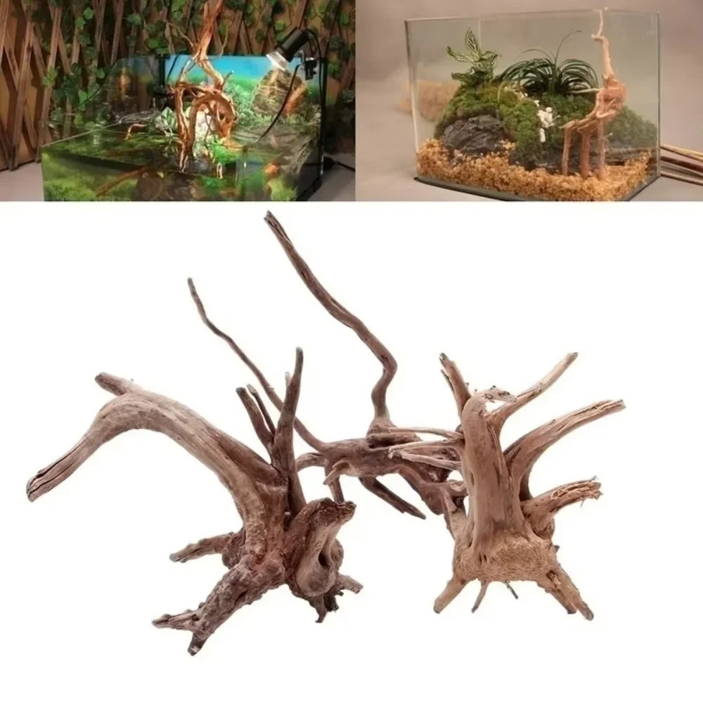 Natural Driftwood Aquarium Dec - đánh giá và giá Aquarium Moss