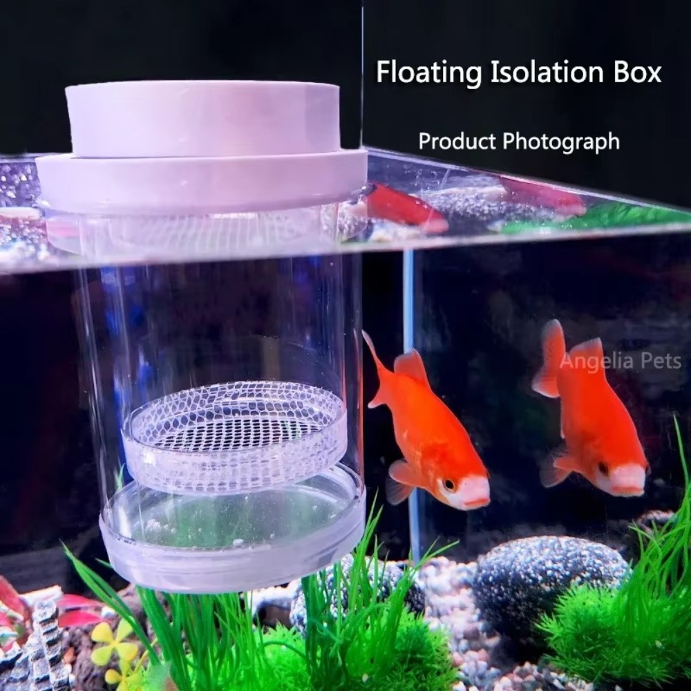 Plastic Floating Fish Breeding - đánh giá và giá Aquarium Fertilizer