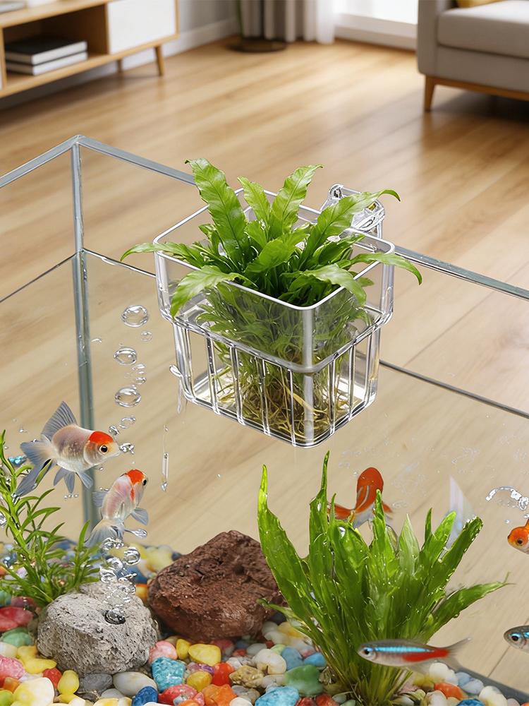 Aquarium Plant Holder Transpar - đánh giá và giá Aquarium Plant Holder