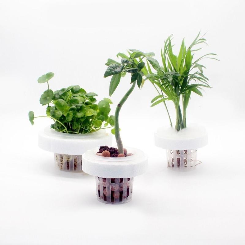 Floating Aquatic Plant Basket  - đánh giá và giá Aquarium Plant Holder