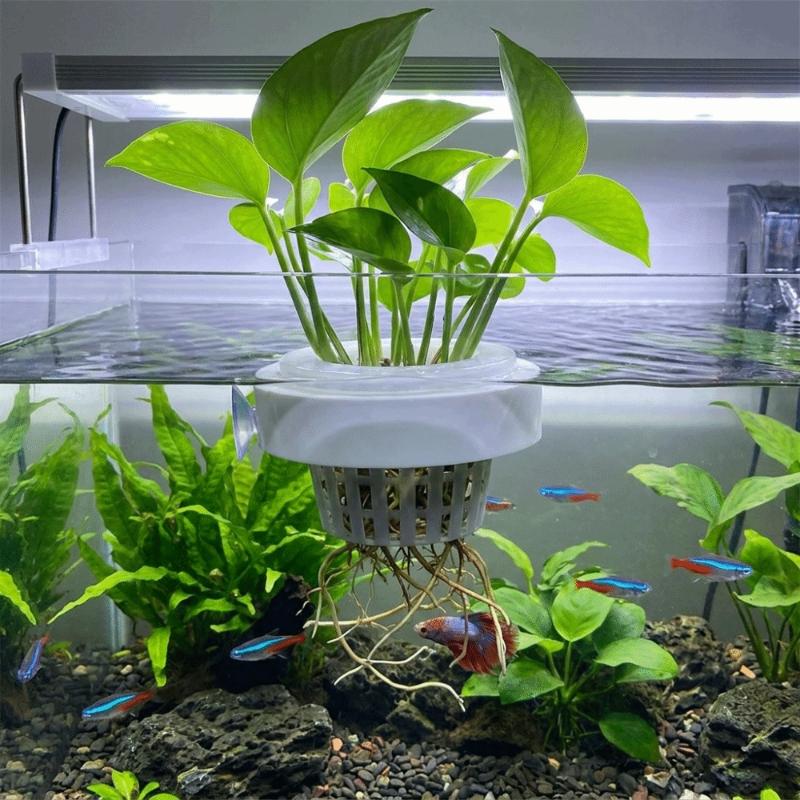 Floating Aquatic Plant Basket  - đánh giá và giá Aquarium Plant Holder