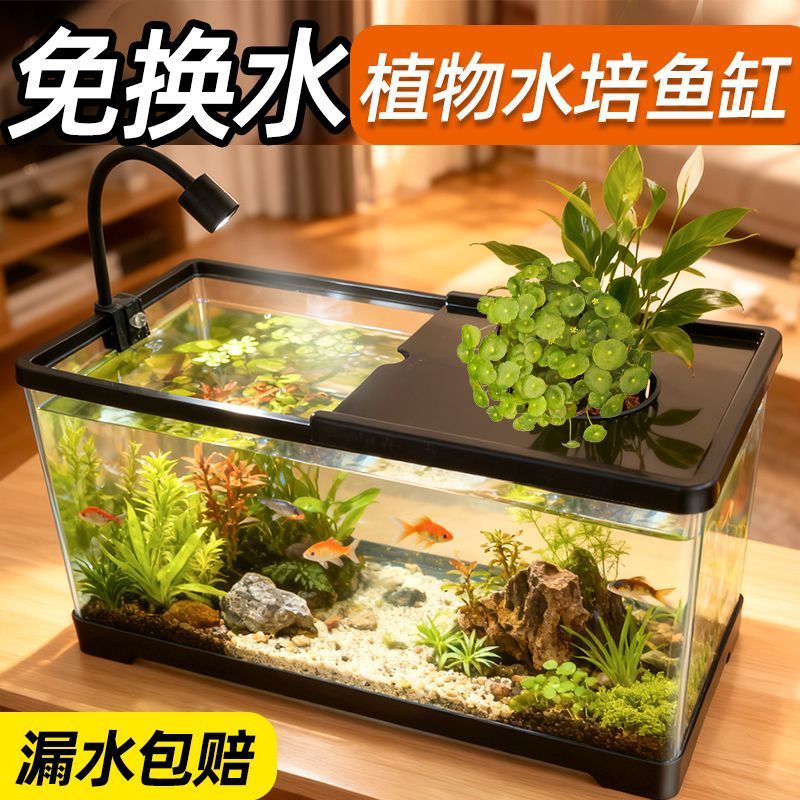 Fish tank living room with aqu - đánh giá và giá Live Plant Aquarium