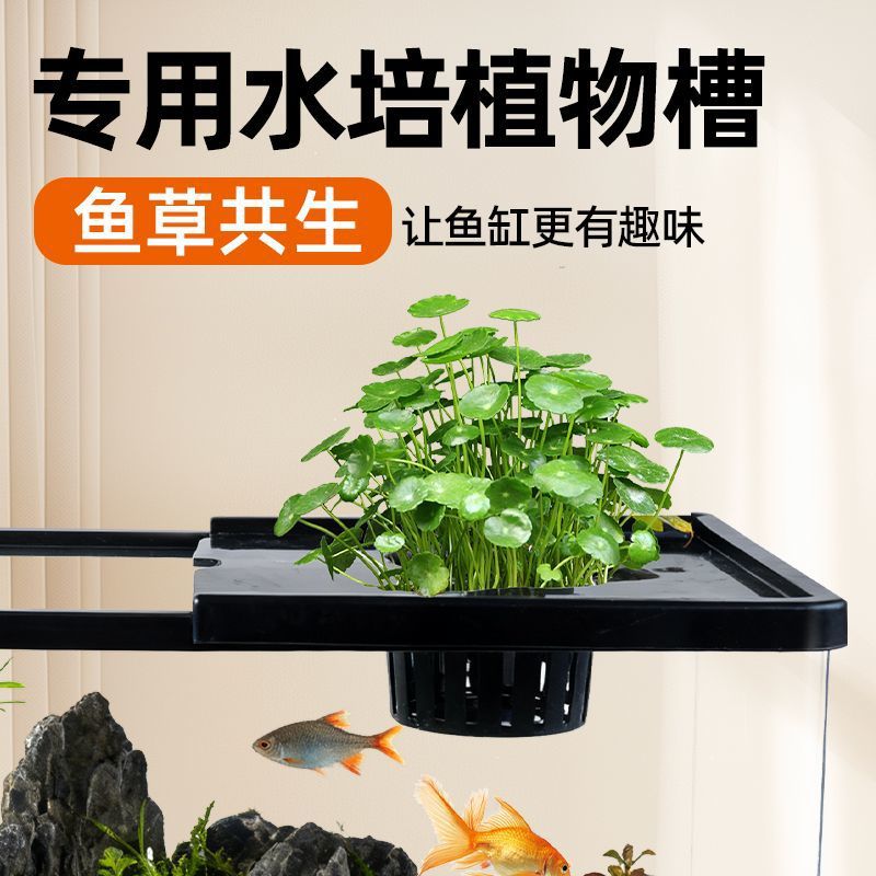 Fish tank living room with aqu - đánh giá và giá Live Plant Aquarium