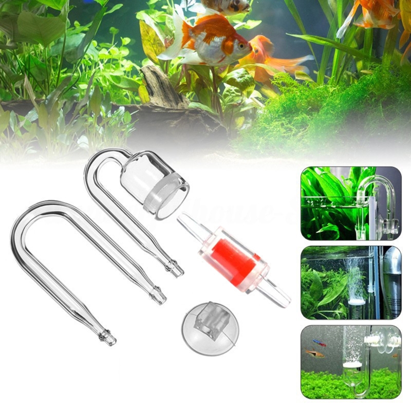 4pcs Set DIY CO2 Diffuser For  - đánh giá và giá Aquarium Moss
