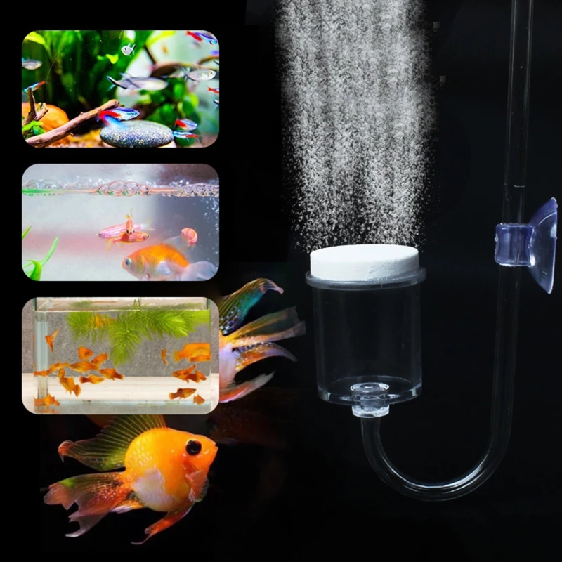 4pcs Set DIY CO2 Diffuser For  - đánh giá và giá Aquarium Moss