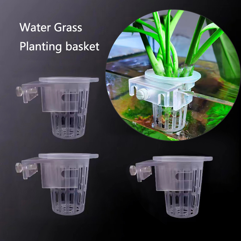 Aquarium Planting Basket Hydro - đánh giá và giá Aquarium Plants Live