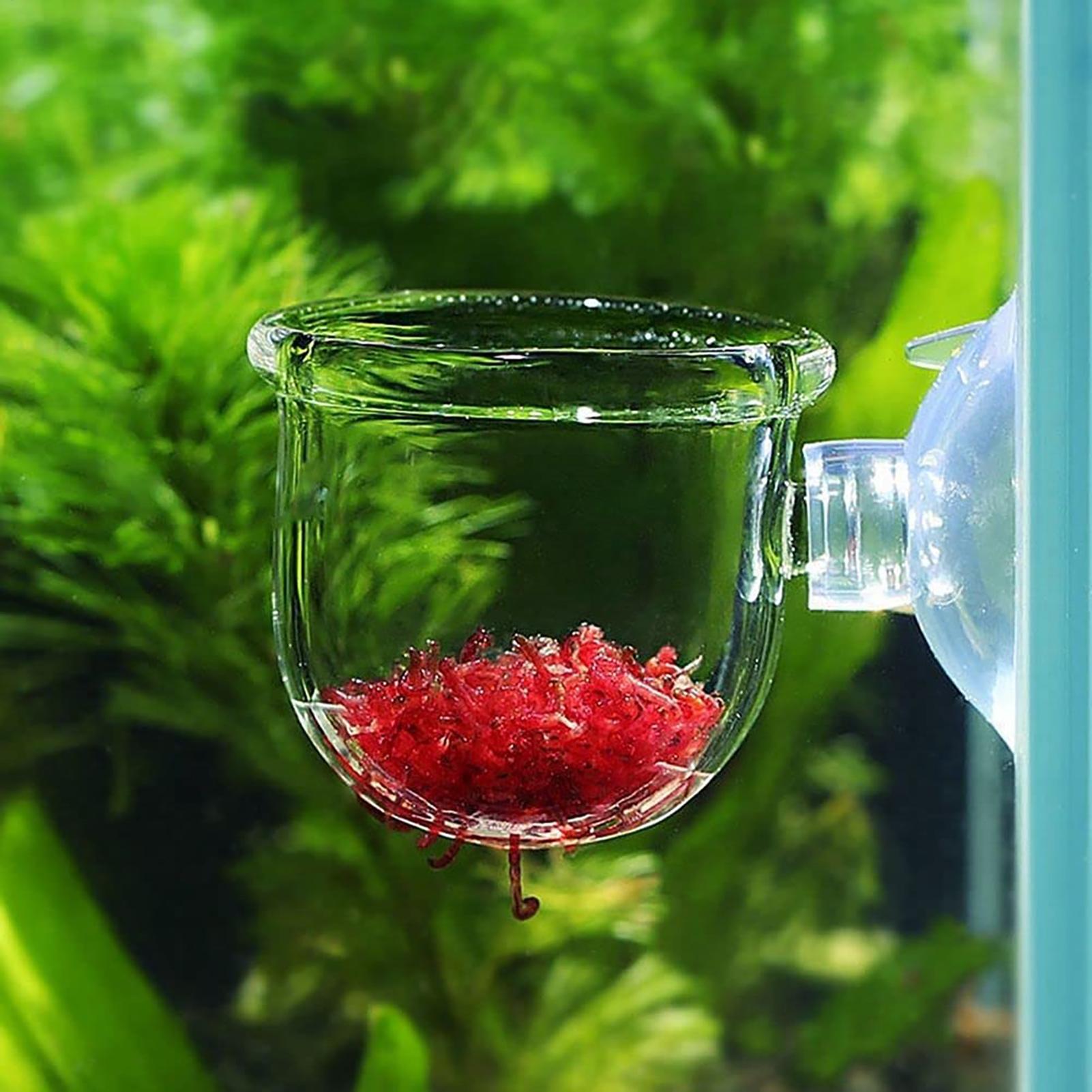 Acrylic Aquatic Plant Cup Aqua - đánh giá và giá Aquarium Plant Holder
