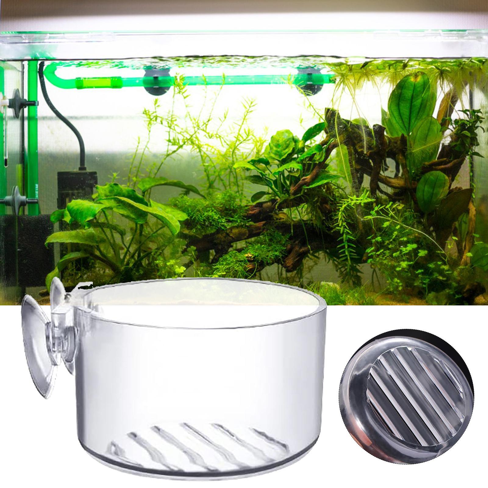 Acrylic Aquatic Plant Cup Aqua - đánh giá và giá Aquarium Plant Holder